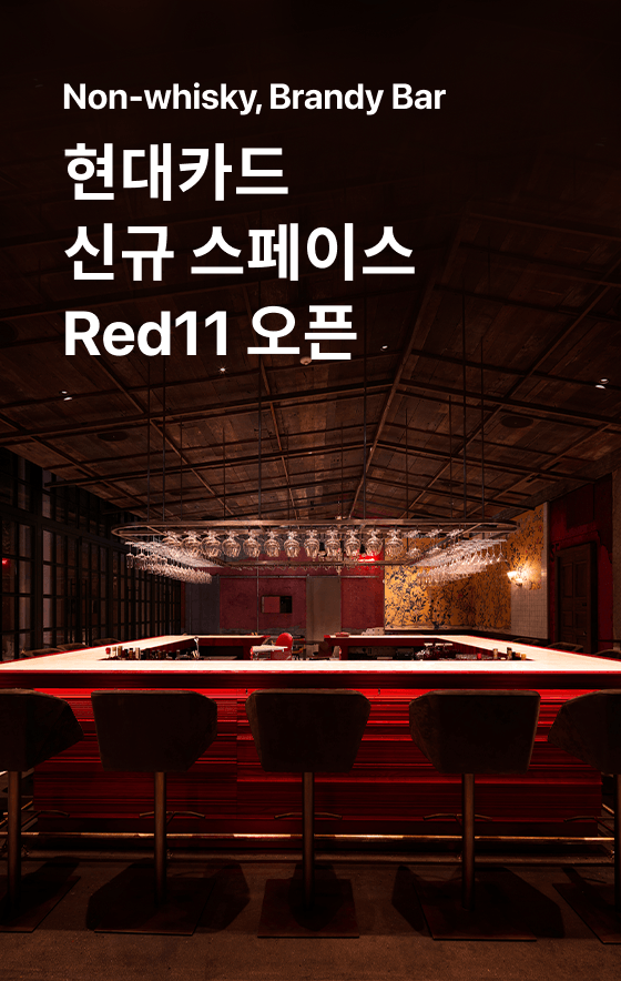 Red11 신규 오픈