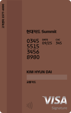 @ 카드 뒷면 - 현대카드 Summit