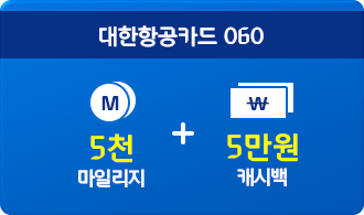 대한항공카드 060