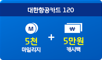 대한항공카드 120