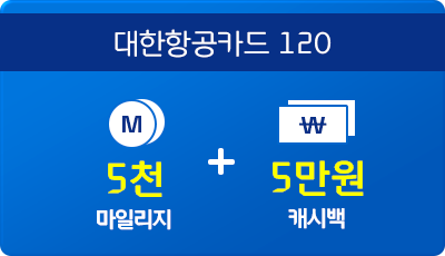 대한항공카드 120