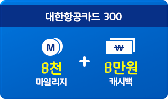 대한항공카드 300