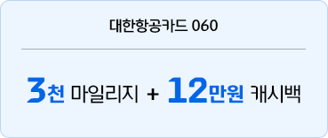 대한항공카드 060