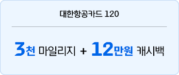 대한항공카드 120