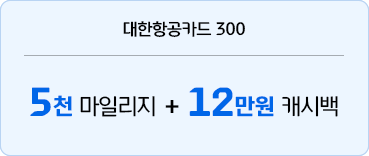 대한항공카드 300