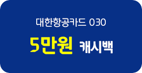 대한항공카드 030 5만원 캐시백