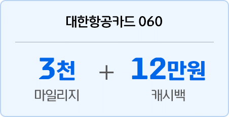 대한항공카드 060