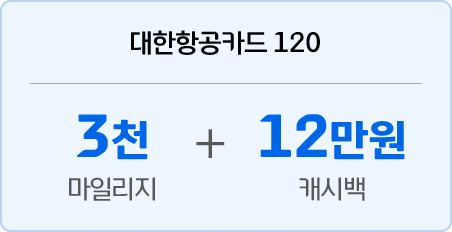 대한항공카드 120